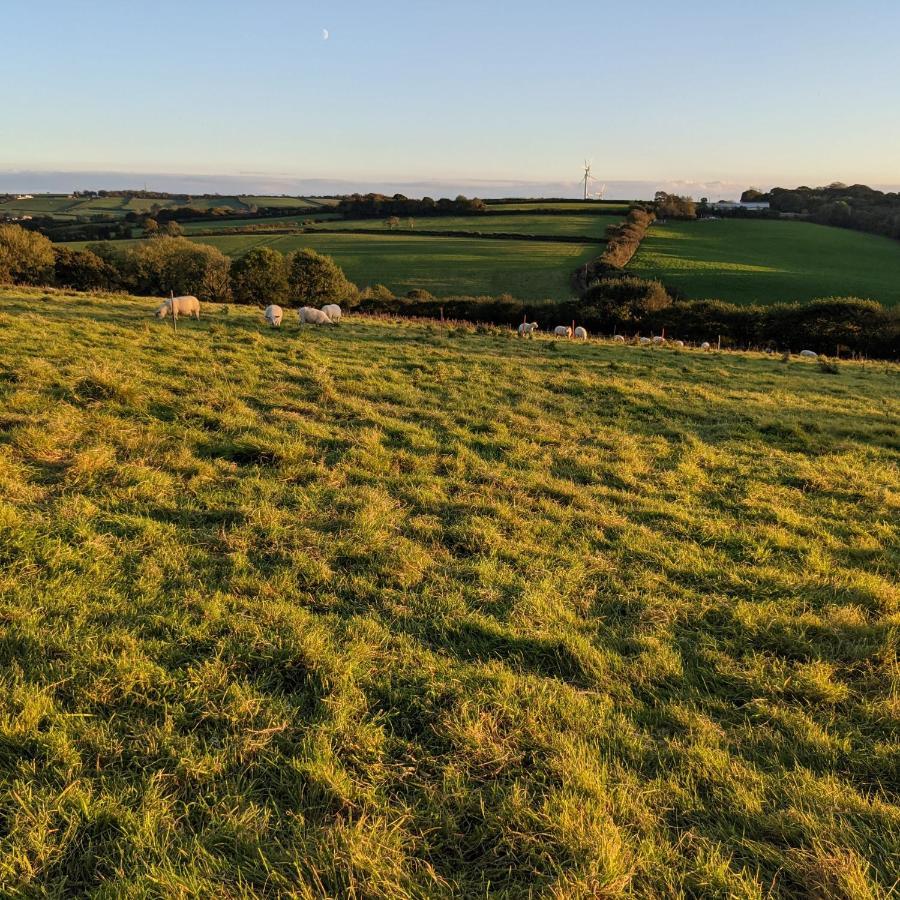 Immaculate Bell Tent Retreat North Devon Bideford Exterior foto